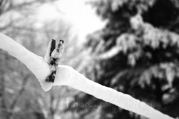 IMG_9481-layer-grey-scalebw-web-ready