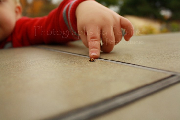 Pointing out a ladybug.