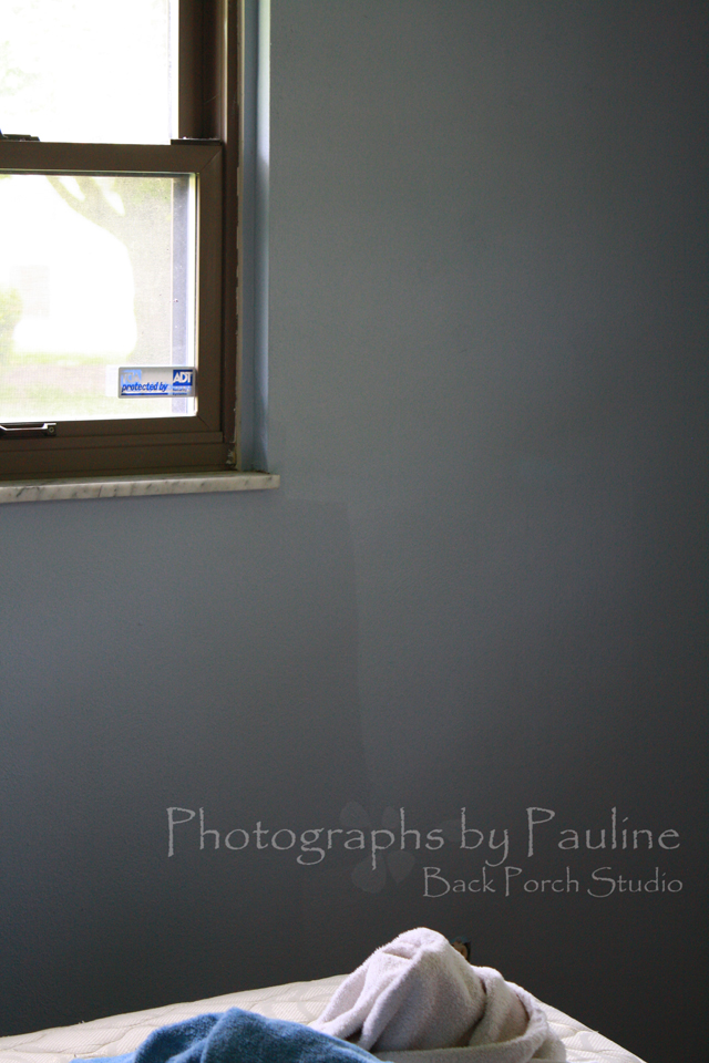 After 24 hours of watching paint dry, the paint was a different shade from when I started!