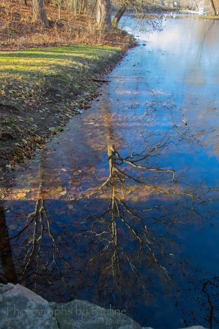 Web Ready Water Reflection Portrait_6288